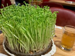 -好彩猪肚鸡(正弘城店)
