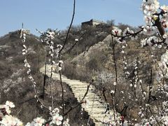 -龙泉峪长城