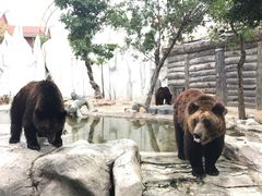 -灵玲国际马戏城