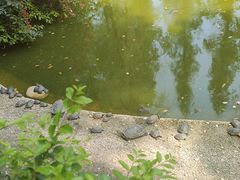 -成都市文殊院