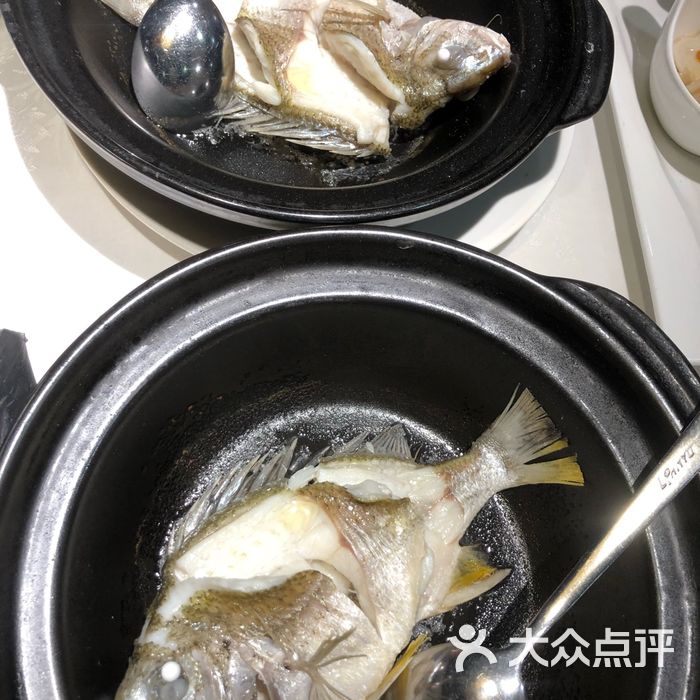 油鹽焗野生海立魚