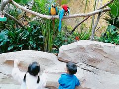 -杭州开元森泊度假乐园