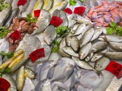 -鱼篮仔·潮汕美食(圆明新园店)