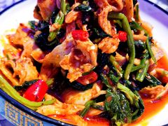 -巴特餐饮6加1音乐餐吧·新疆菜