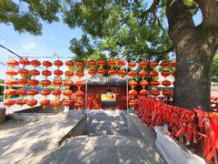-丰台药王庙