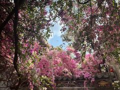 -深圳国际园林花卉博览园