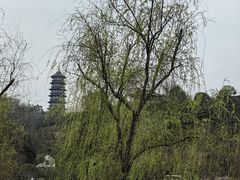 -重庆园博园