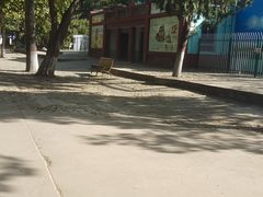 -保定市动物园