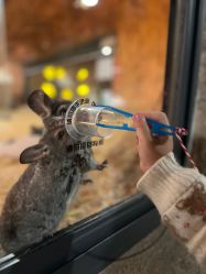 -酷嗒动物文化乐园(cutezoo西溪乐天城店)