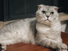 -老郑海鲜楼(天桥店)