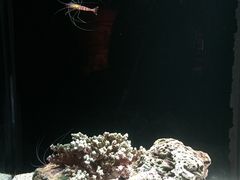 -暹罗海洋世界