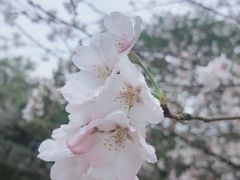 -南山植物园