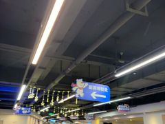 -世界之窗阿尔卑斯冰雪世界