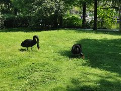 -浙江农林大学(东湖校区)