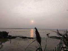 -莲花岛景区
