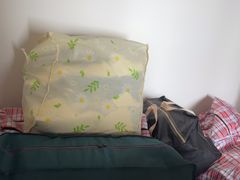 -蚂蚁搬家成都打包搬运公司