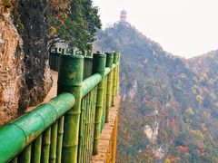 -塔云山