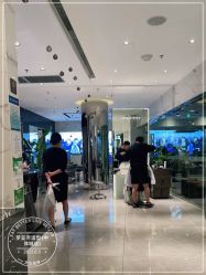 -罗亚帝造型