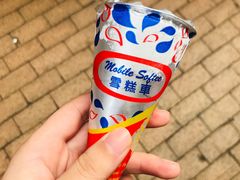-富豪雪糕车流动点(尖沙咀店)
