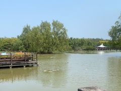 -大湾区中央湿地公园