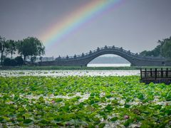 -天津东丽湖风景区