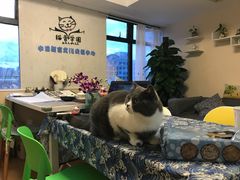 -猫音日语留学培训