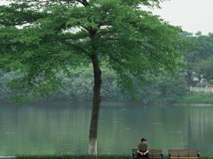 -音乐广场