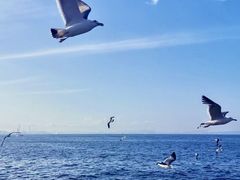 -大连海昌东方水城