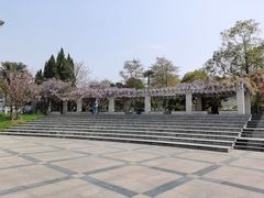 -花溪公园