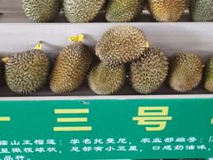 -曼阁市场水果批发市场