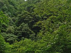 -西岭雪山大飞水景区
