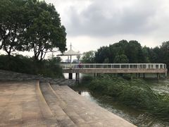 -新江湾城公园