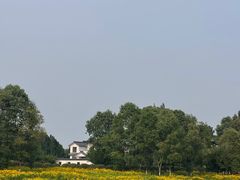 -三道苗苗鱼(三道堰老字号店)