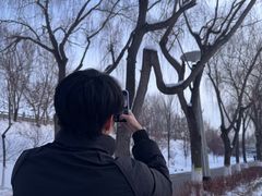 -伊犁河景区