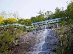 -九龙江国家森林公园