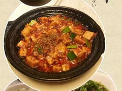 -陈麻婆豆腐总店