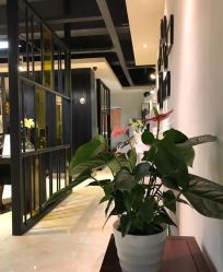 点击看大图 -苑苑发型设计