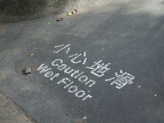 -九龙公园