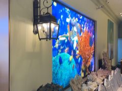 -开海·红岛海鲜虾水饺(石老人店)