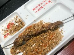 -邢氏老太太烤串(北兴街店)