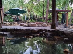 -厦门日月谷温泉渡假村