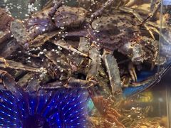 -蟹之国·精品蟹料理(极地店)