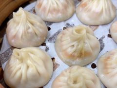 -莱莱小笼·乔艾