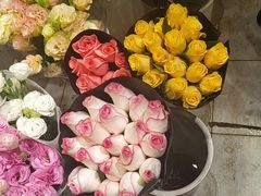 -双季花艺园艺市场(浦东店)