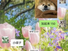 -来之顺海鲜菜馆·青岛菜·始于1993(栈桥店)