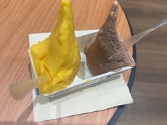 -野人先生现做冰淇淋(北京环宇荟店)
