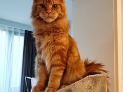 -乐宠宠物店(世纪金源店)