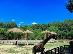 -北京野生动物园