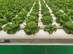 -兰陵国家农业公园