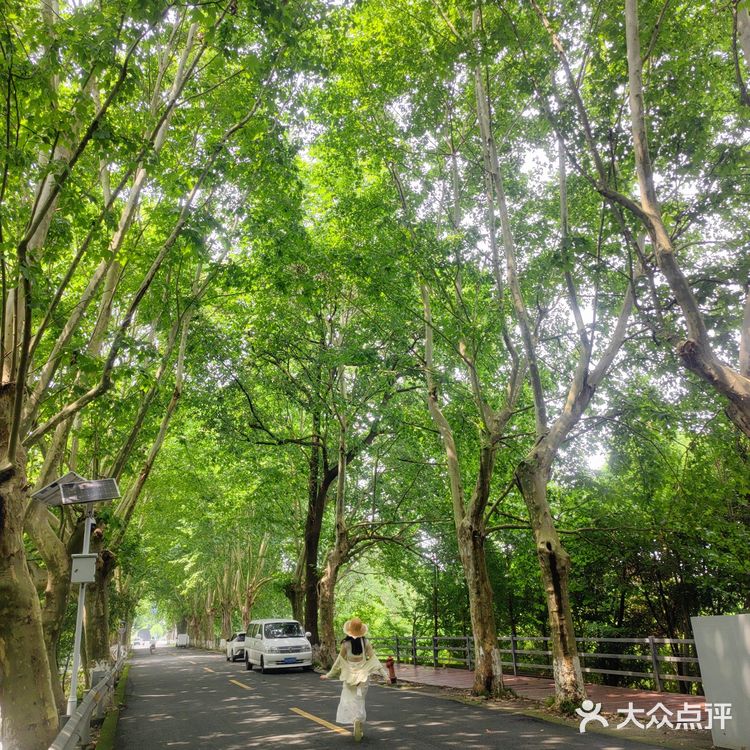 温江区周末休闲时光